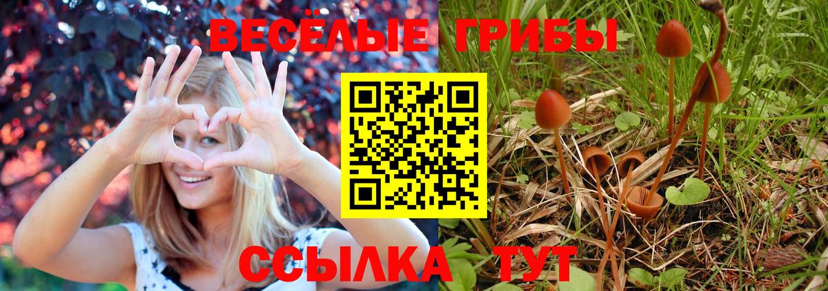Галлюциногенные грибы мицелий Кыштым